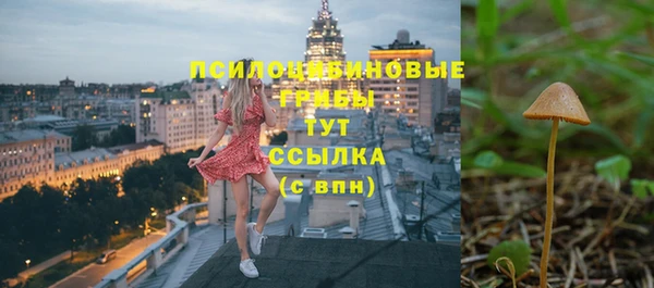 a pvp Володарск
