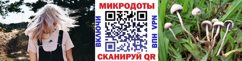 цена наркотик  Южно-Сахалинск  Галлюциногенные грибы мухоморы 